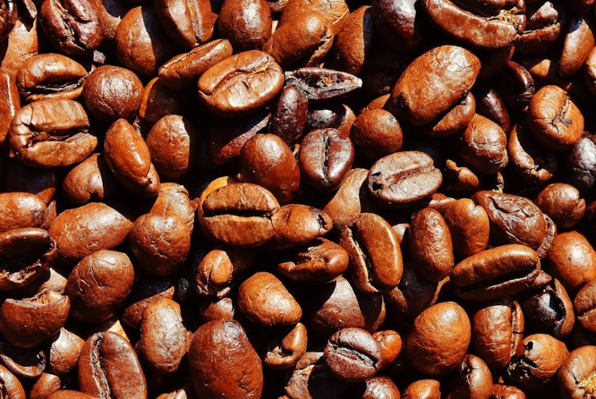 Rahasia Roasting dan Brewing Kopi Single Origin ala Barista