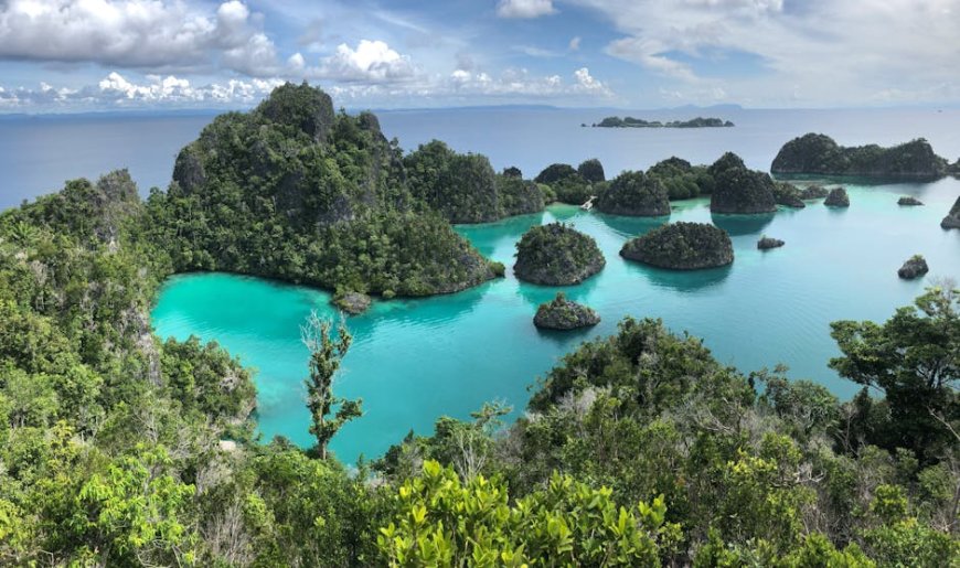 Hidden Gems Snorkeling dan Diving Eco-Friendly di Raja Ampat