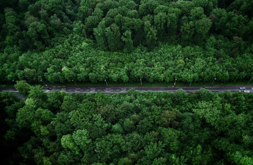 Petualangan Road Trip Trans-Sulawesi Utara: Temukan Hidden Gems Minahasa!