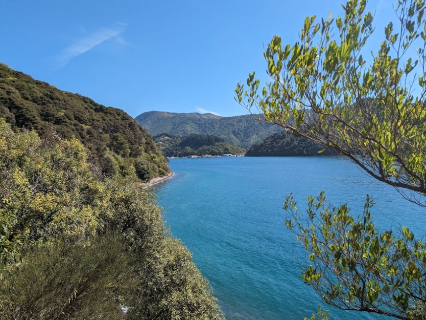 Foraging Tour Seru Jelajahi Hutan dan Pantai Indonesia