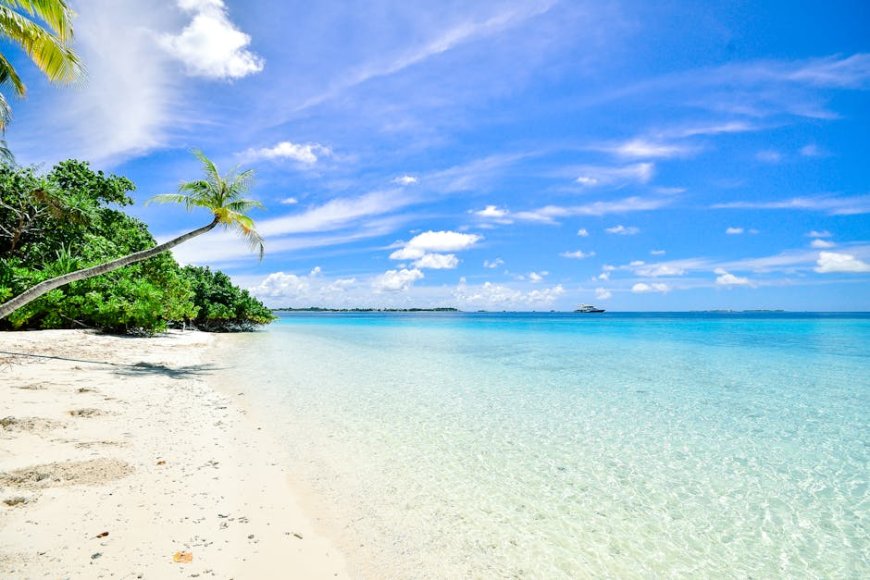 Cara Investasi Awal di Proyek Tokenisasi Resor Mewah Maldives