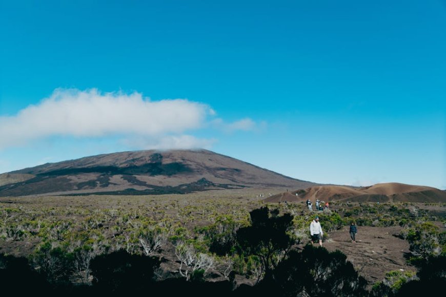 Menjelajah Jalur Pendakian Gunung Sambil Aman dari Satwa Liar