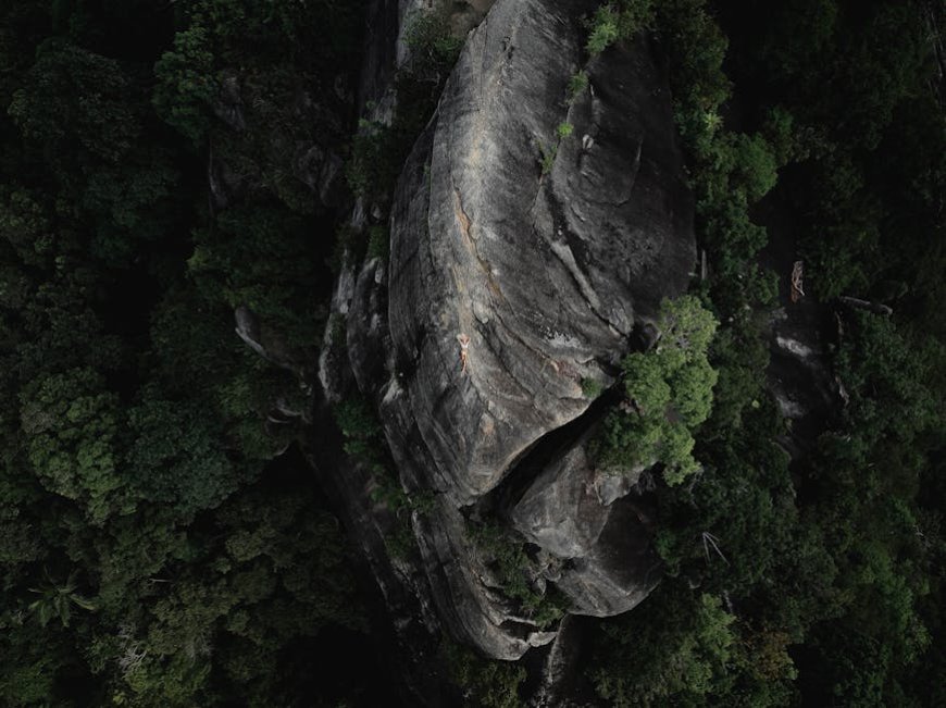 Survival di Hutan Tropis Indonesia Hidden Gems Kursus dan Destinasi Seru