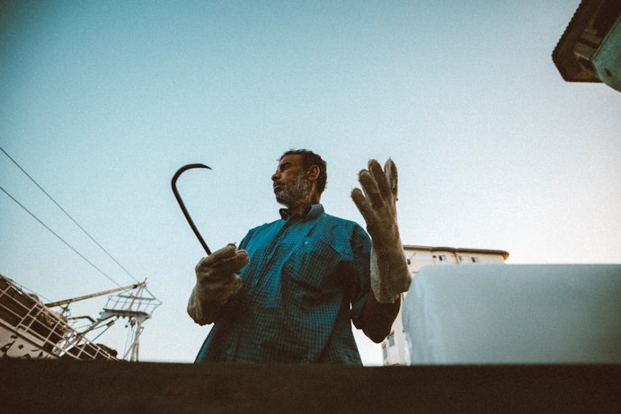 Foto Pemenang Nature inFocus Awards 2024: Intip Keindahan Alam yang Memukau!