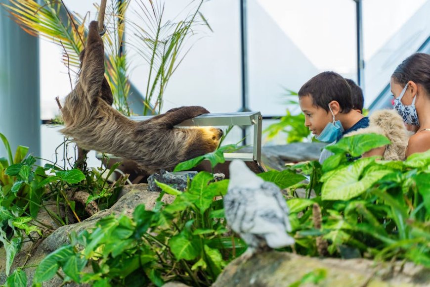Panduan Hidden Gems Permainan Edukatif Satwa di Wisata Anak Jogja