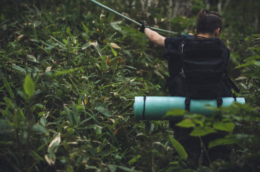 Checklist Survival Anak Eksplorasi Hutan Indonesia yang Wajib Dibawa