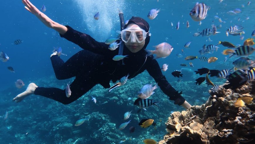 Panduan Cave Diving Aman untuk Pemula Temukan Destinasi Tersembunyi