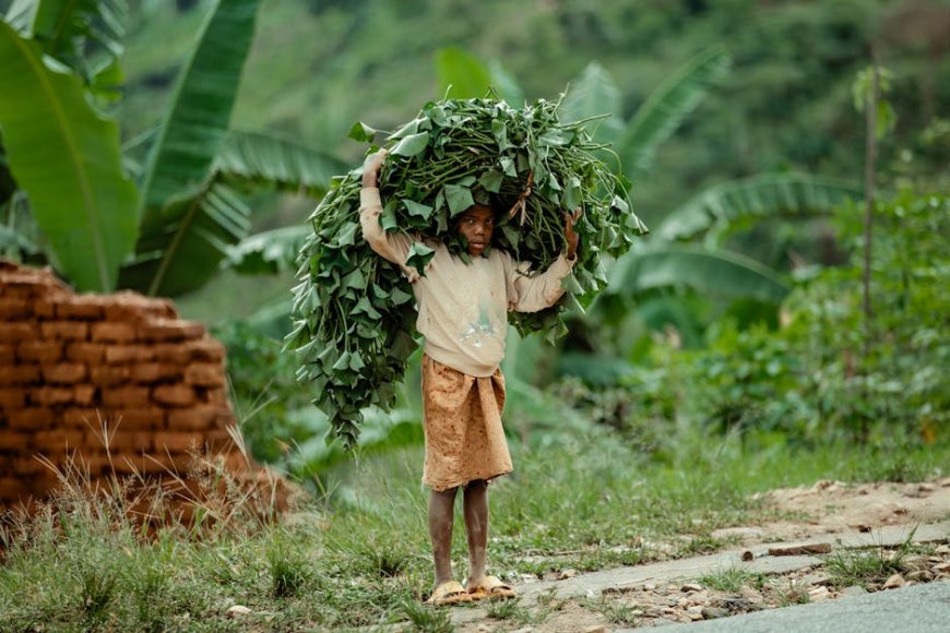 Perlengkapan Survival Anak untuk Jelajah Hutan Indonesia yang Aman