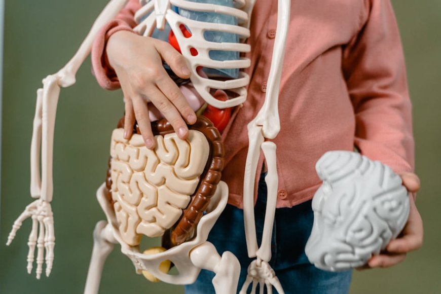 Sains Rasa Syukur Ungkap Manfaat Nyata Bagi Otak dan Kesehatan Mental