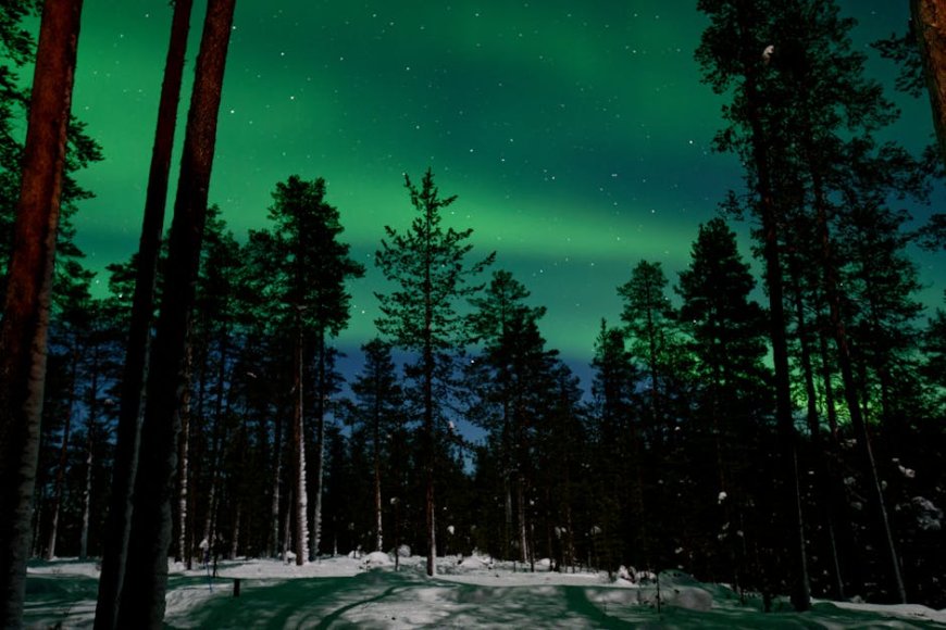 Radio Berbunyi Jam 03.07 Misteri Pencarian di Hutan Alaska
