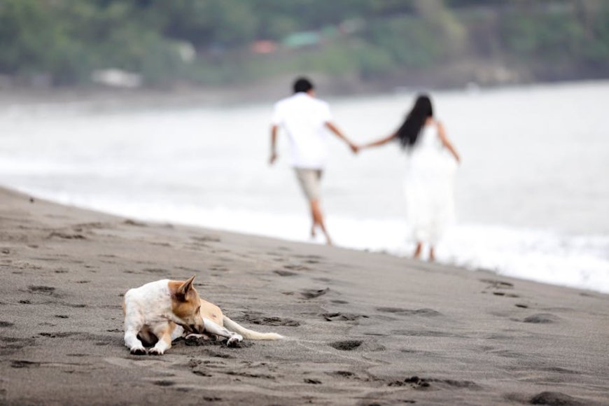 Liburan Seru Bersama Lansia Jelajahi Hidden Gems dan Aktivitas Unik