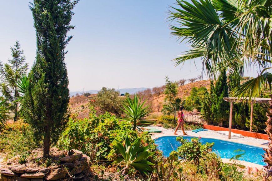 Petualangan Unik! Menginap di Rumah Pohon Mewah Tersembunyi Hutan Tropis Indonesia