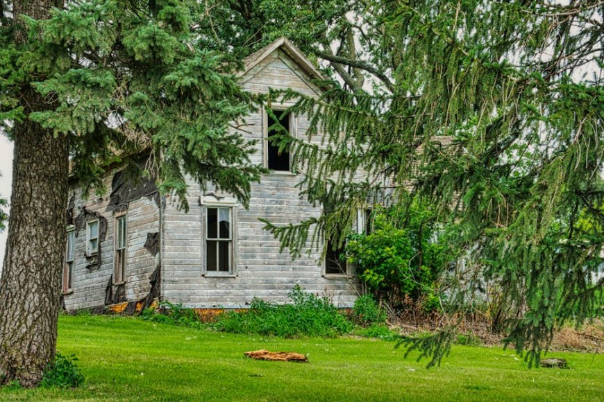 Jangan Kunjungi Minnesota: Para Jiwa Lapar Itu Masih Ada