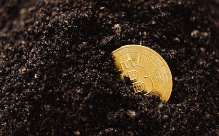 Tips Penambang Bitcoin Hadapi Tantangan Desember Hashprice Turun Kesulitan Naik