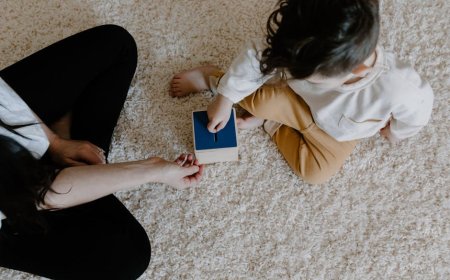 Tips Memilih Mainan Hewan Peliharaan Ramah Lingkungan dan Awet