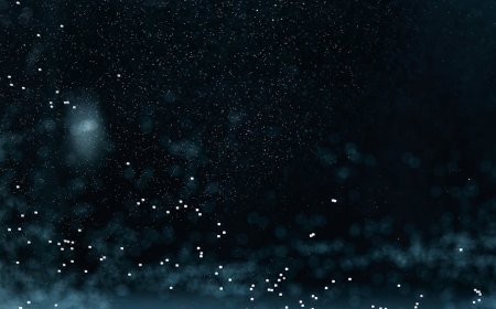 Panduan Praktis Lettering Digital Keren dengan Tekstur dan Animasi