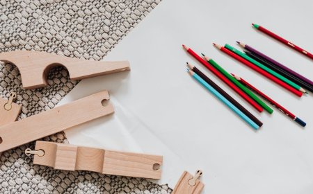 DIY Mainan Hewan Peliharaan Ramah Lingkungan dari Barang Bekas