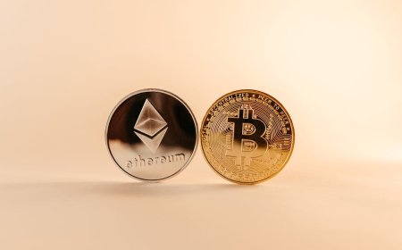 Musk Sebut Bitcoin Uang Sejati, Panduan Mudah Memulai Petualangan Kripto Kamu