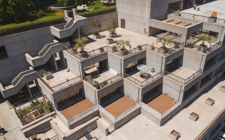 Sulap Balkon Sempit Jadi Taman Sensorik Pribadi, Hidup Lebih Hidup!