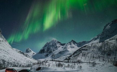 Berburu Aurora Borealis: Destinasi Impian dan Trik Foto Epik di Arktik