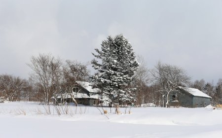 Terkuak! David Sacks Manfaatkan Jabatan AI Trump untuk Keuntungan Pribadi?