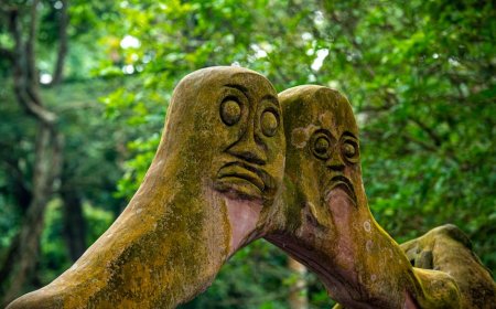 Kisah Penjaga Hutan: Kearifan Lokal dan Konservasi dari Hutan Suci Kuno