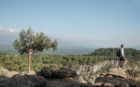 Petualangan Unik Mengikuti Migrasi Satwa Liar Dunia