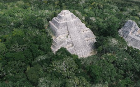 Petualangan Menyingkap Rahasia Inca di Hutan Amazon