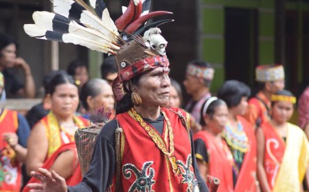 Kisah Kearifan Lokal Dayak dalam Melestarikan Hutan Adat Borneo