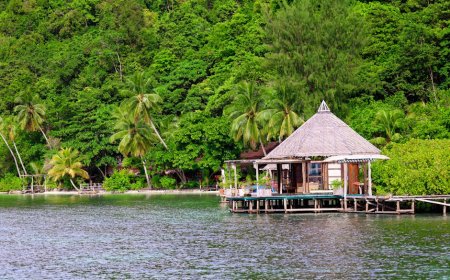 Menjelajah Retreat Alam Tersembunyi untuk Healing Trauma Pasca Pandemi