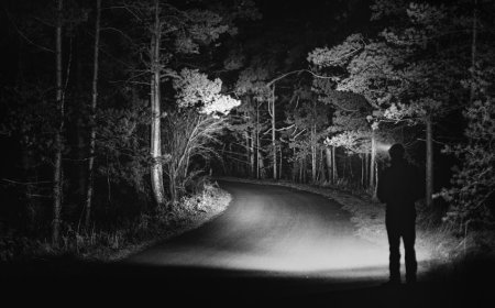 Misteri Mengerikan Bangkai di Jalan Raya 33 yang Tak Wajar