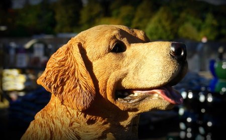 Beeple Bikin Anjing Robot Rp1,5 Miliar Bergambar Elon Musk, Laku Duluan!