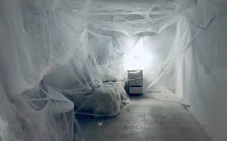 Misteri Malam Menghitung Domba yang Tak Pernah Berakhir