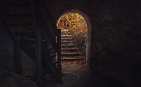 Misteri Goresan Misterius di Woodbrook Membayangi Malamku