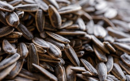 Bongkar Mitos Camilan Sehat Tinggi Magnesium untuk Tidur Malam Nyenyak