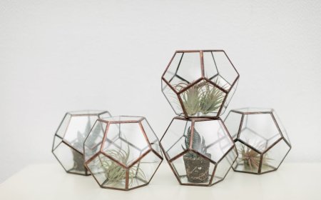 Cara Praktis Membuat Terrarium Shinrin-Yoku Mini di Ruangan Sempit