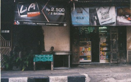 Bagaimana Danantara Dukung Pengembangan KEK di Indonesia Timur