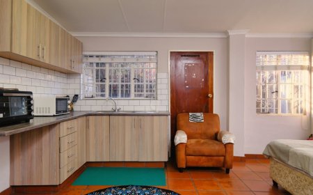 7 Tips Memilih Media Tanam Aquaponik Indoor untuk Apartemen Kecil