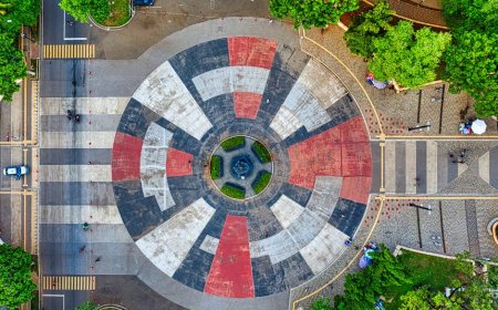 Cara Urban Foraging di Jakarta yang Ramah Keanekaragaman Hayati