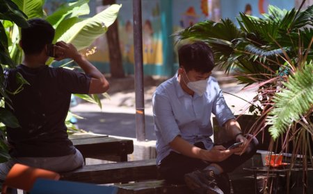 Cara Cepat Kenali Tanaman Liar Edible Pakai Aplikasi HP di Jakarta