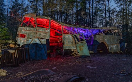 Penumpang Turun di Tengah Hutan dan Aku Mengikutinya di Malam Itu