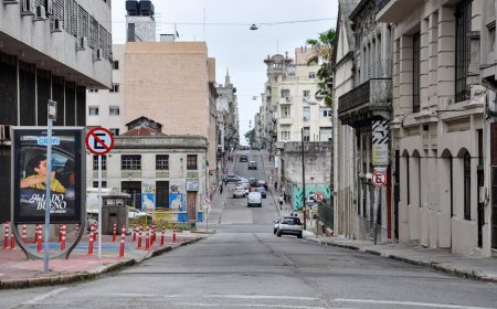 Tips Praktis Membentuk Komunitas Urban Foraging di Kota