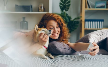 Microsoft Beli 3 6 Juta Ton Karbon dari Pabrik Bioenergi