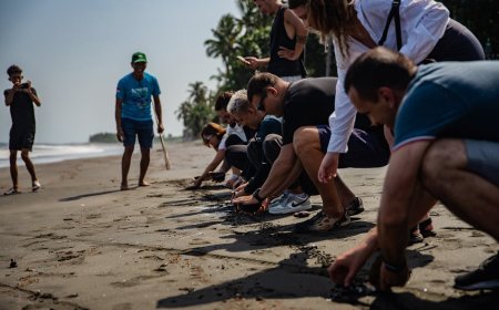 Panduan Snorkeling Bali untuk Pemula Cari Peralatan Ramah Lingkungan