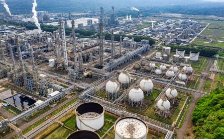 Peluang Investasi Sektor Riil: Belajar dari Hilirisasi Kelapa di Indonesia