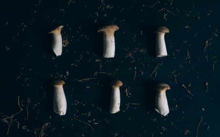 5 Resep Sederhana Masak Tanaman Liar Edible di Sekitar Kota