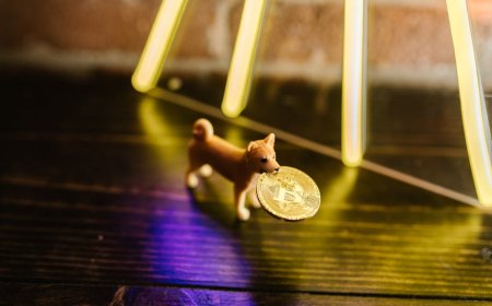 Shiba Inu Resmi Masuk Pasar Derivatif AS Lewat Coinbase