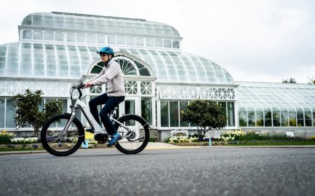 Rad Power Bikes Bangkrut Apakah E-bike Masih Jadi Pilihan Aman