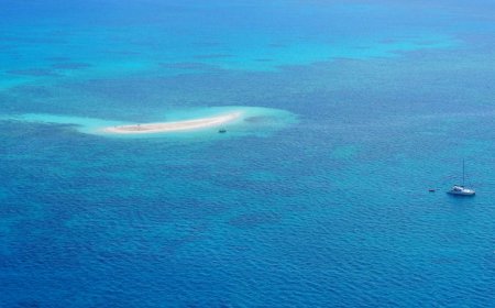 Panduan Memilih Tur Selam dan Snorkeling Ramah Lingkungan di Destinasi Populer