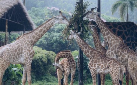 Liburan Singkat Seru Bareng Keluarga Temukan Hidden Gems 2026